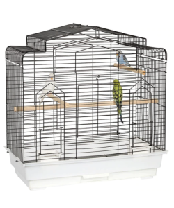 Budgie Cages